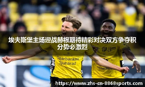 埃夫斯堡主场迎战赫根期待精彩对决双方争夺积分势必激烈